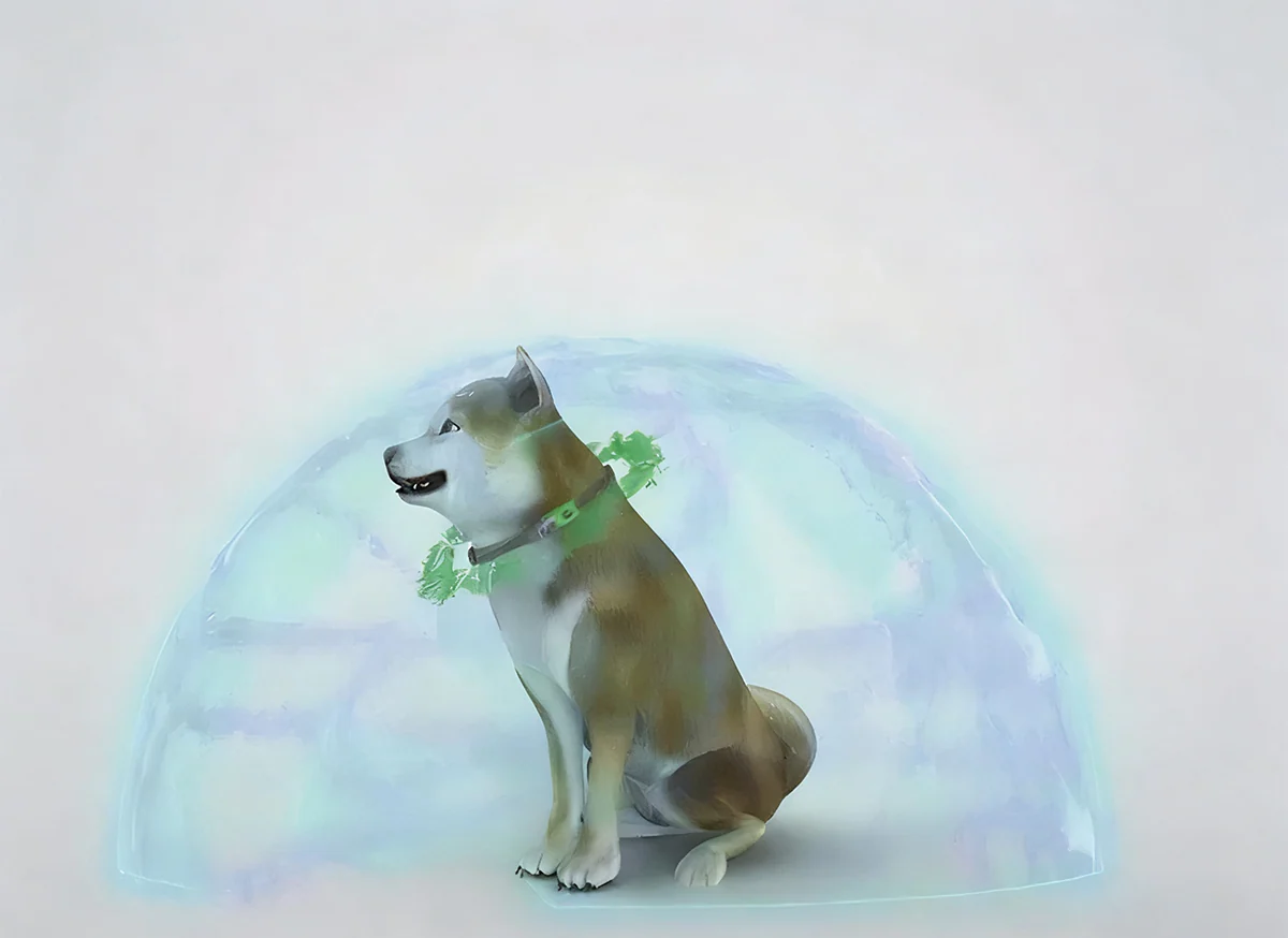 Thumbnail 9